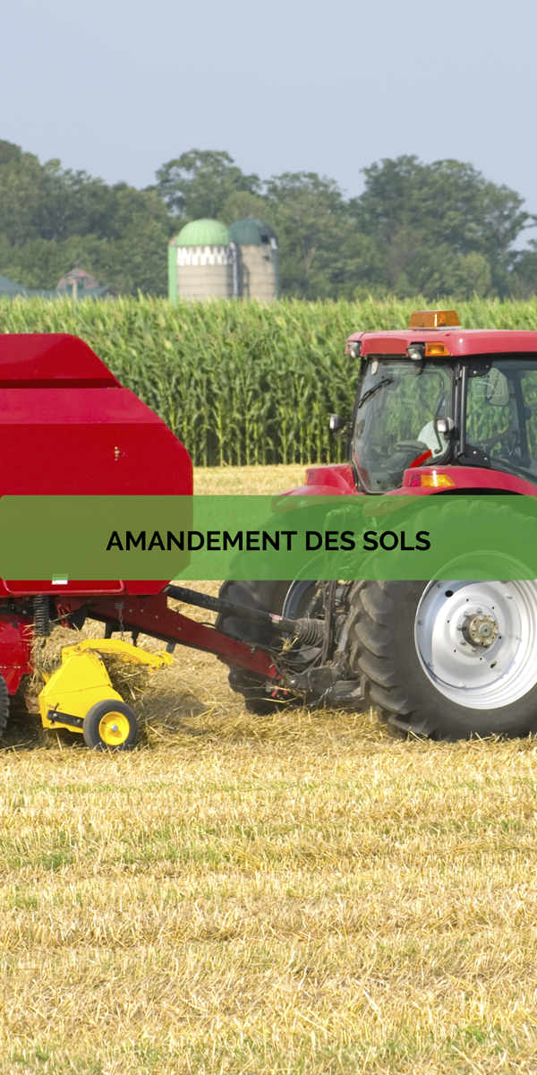 Xylo-Carbone - Charcoal - Charbon - Biochard