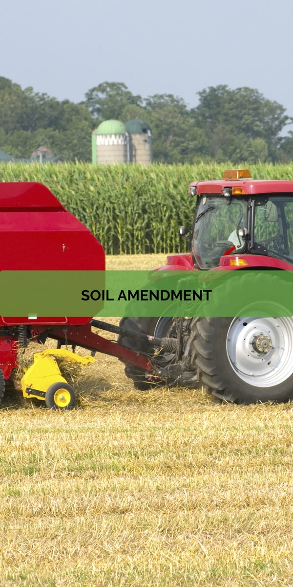 Xylo-Carbone - Charcoal - Charbon - Biochard