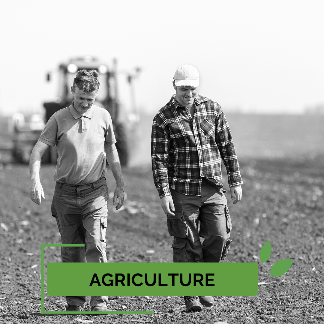 Xylo-Carbone charbonnerie