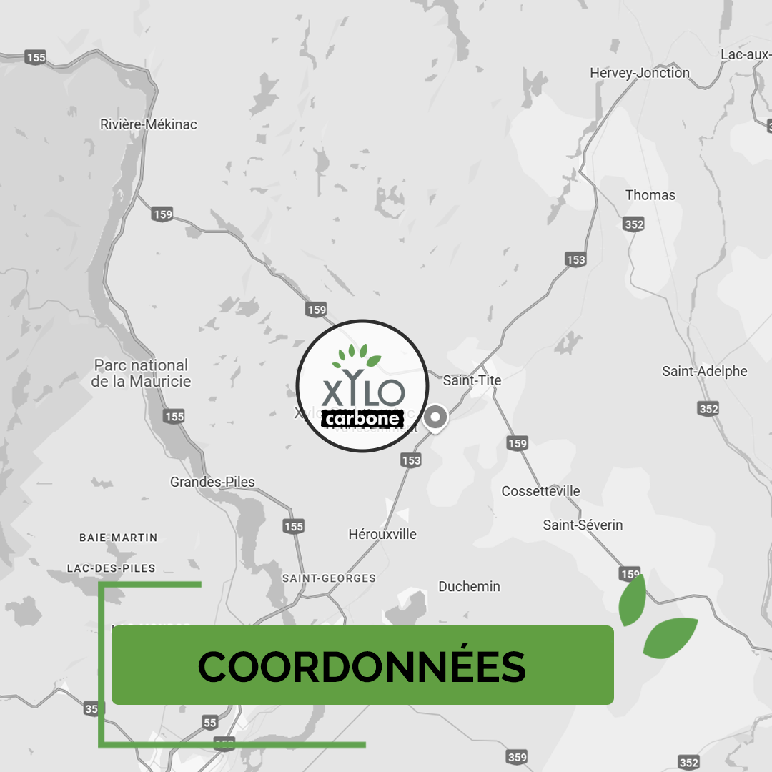 Xylo-Carbone charbonnerie