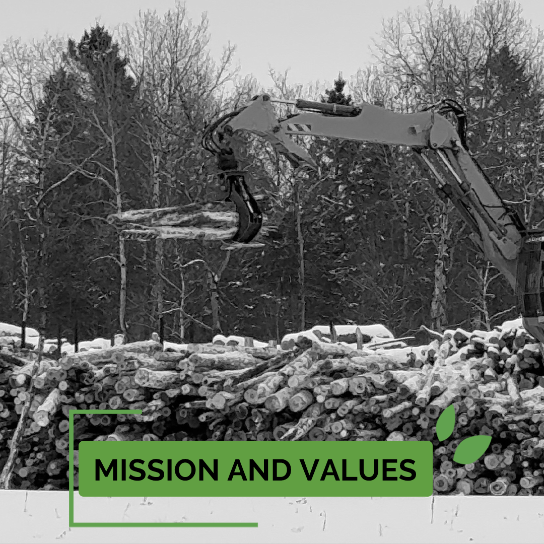 Xylo-Carbone charbonnerie