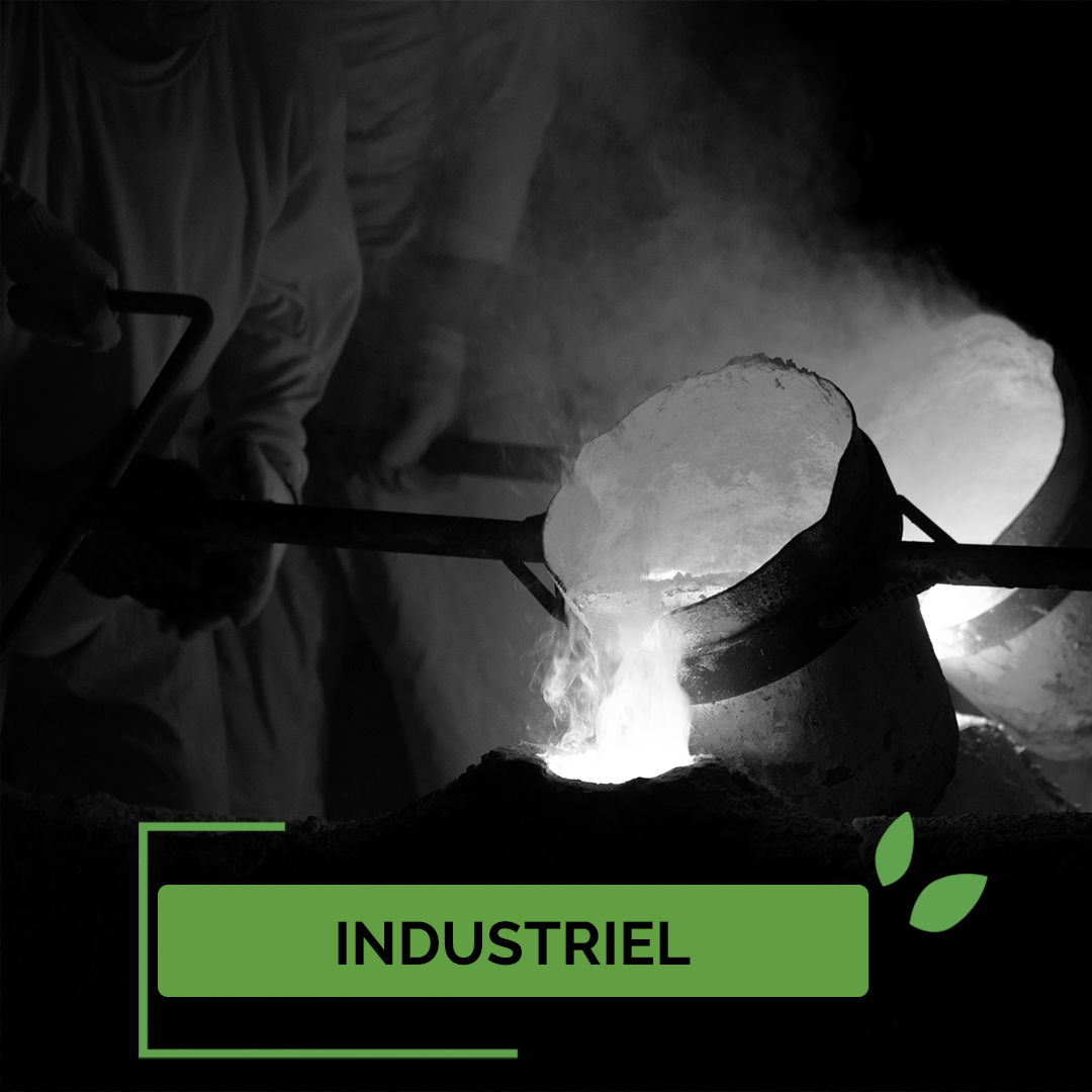 Xylo-Carbone charbonnerie