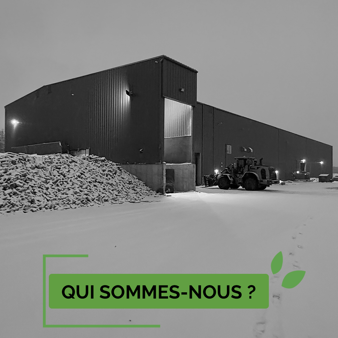 Xylo-Carbone charbonnerie