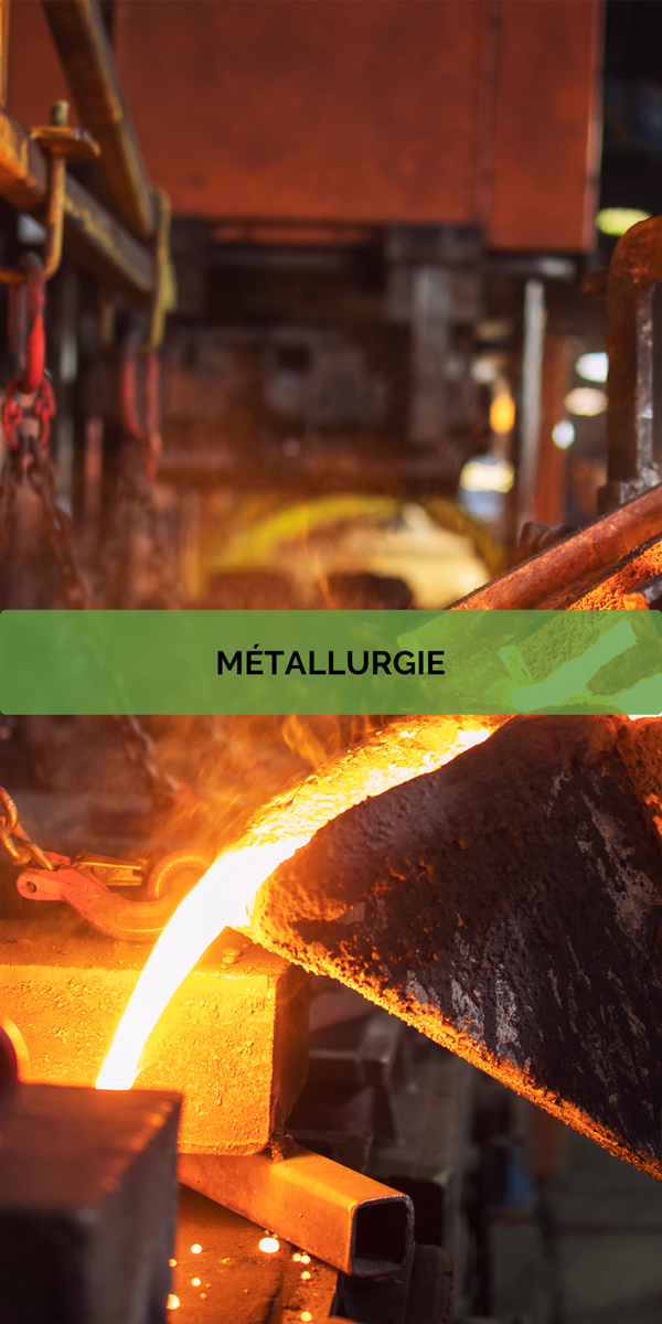 Xylo-Carbone - Charcoal - Charbon - Biochard