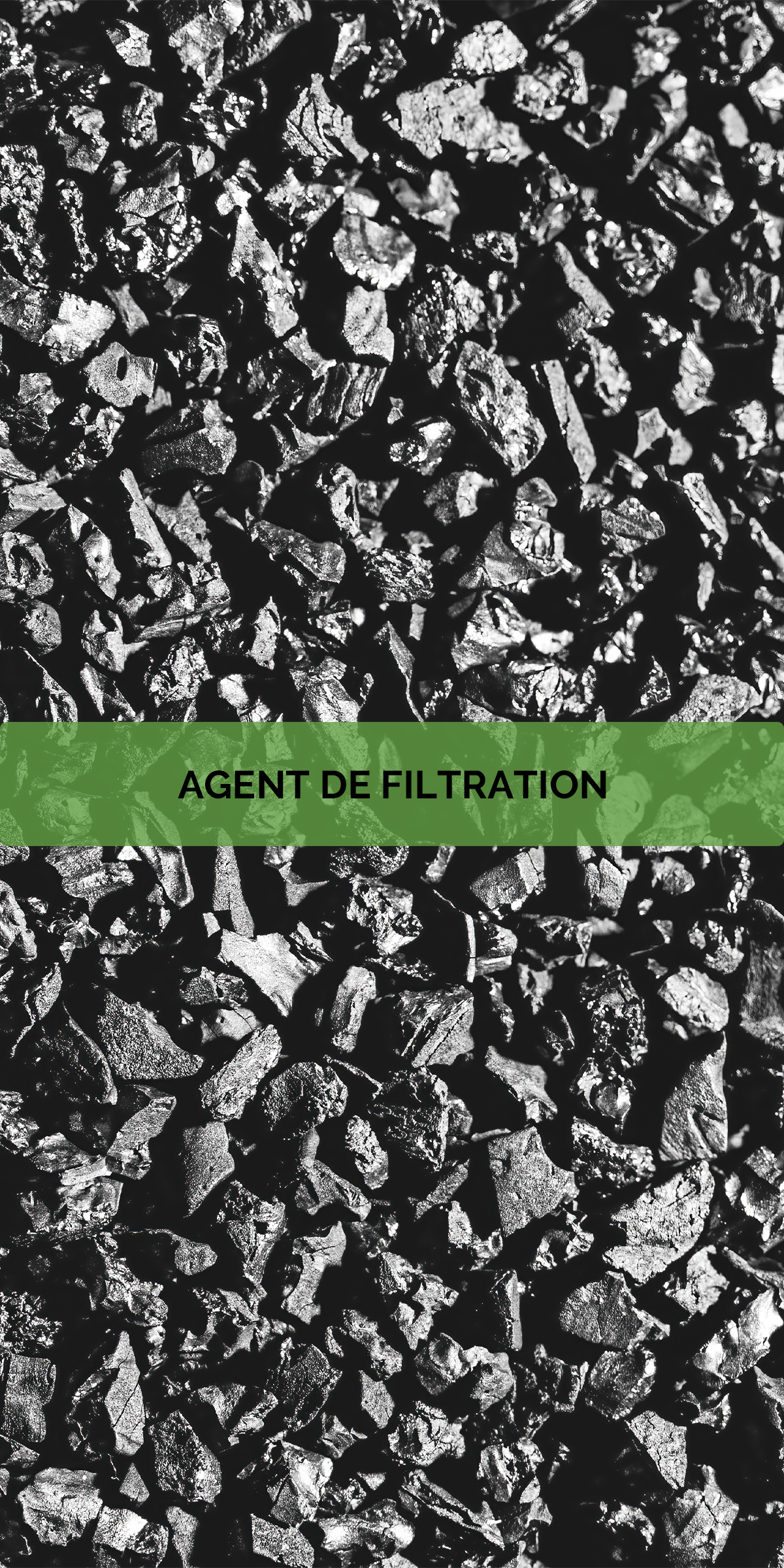 Xylo-Carbone - Charcoal - Charbon - Biochard