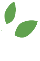 Xylo-Carbone - Entreprise de biocarbone innovante - Innovative biocarbon company