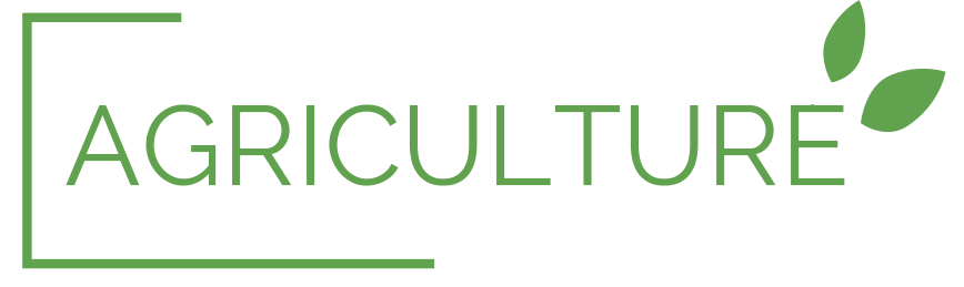 Xylo-Carbone charbonnerie charcoal